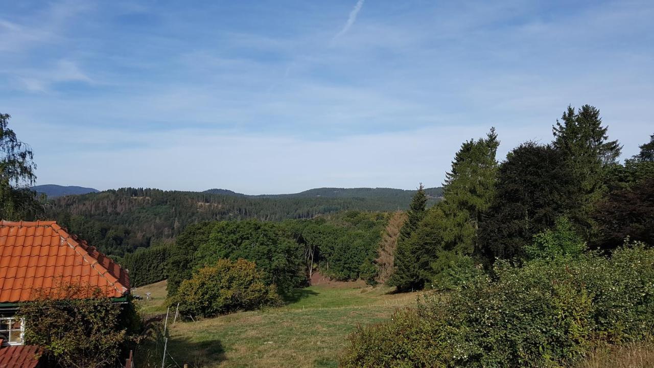 Hotel Silbertanne Hohegeiß Zewnętrze zdjęcie