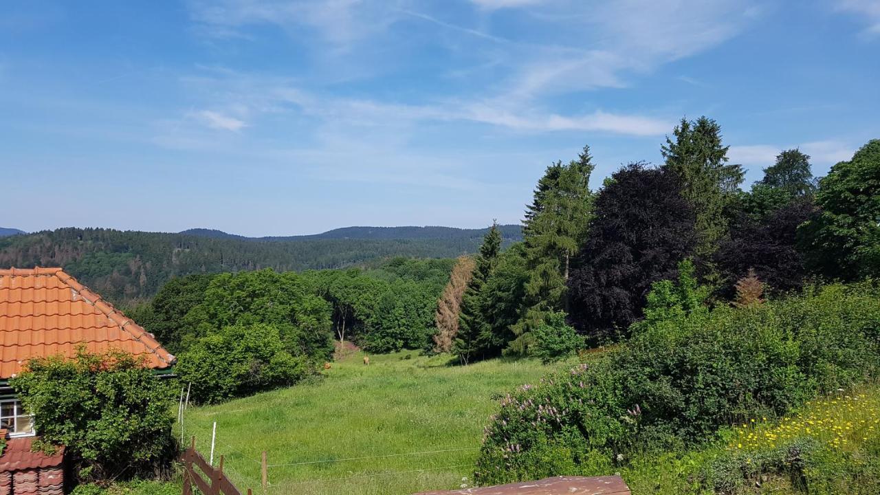 Hotel Silbertanne Hohegeiß Zewnętrze zdjęcie